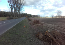 „Przebudowa drogi powiatowej nr 4181 P w zakresie budowy ścieżki rowerowej Jarocin – Wilkowyja – Żerków”