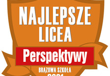 Brązowa odznaka 